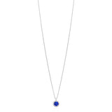 18ct White Gold Four Claw Set Round Cut Sapphire and Round Brilliant Cut Diamond Halo Cluster Pendant and Chain