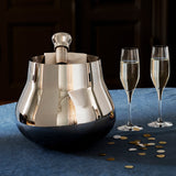 Georg Jensen Sky Stainless Steel Champagne Stopper