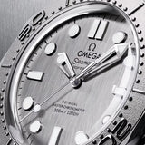 Omega Seamaster Diver 300M Steel
