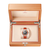 Omega Seamaster Planet Ocean 600M Steel