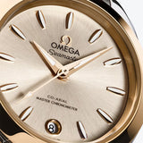 Omega Seamaster Aqua Terra 150M Steel