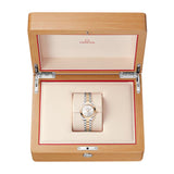 Omega Seamaster Aqua Terra 150M Steel