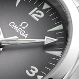 Omega Seamaster Railmaster Steel