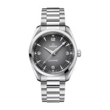 Omega Seamaster Railmaster Steel