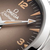 Omega Seamaster Railmaster Steel