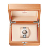 Omega Seamaster Railmaster Steel