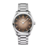 Omega Seamaster Railmaster Steel