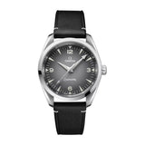 Omega Seamaster Railmaster Steel