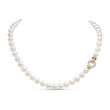 18ct Yellow Gold Akoya Cultured Pearl Single Strand Necklace
