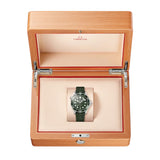 Omega Seamaster Diver 300M Steel