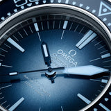 Omega Seamaster Ploprof 1200M O-Megasteel