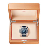 Omega Seamaster Ploprof 1200M O-Megasteel