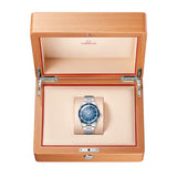 Omega Seamaster 300 Steel