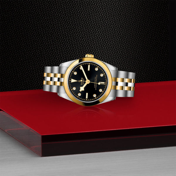 Tudor Black Bay 31 S&G 18ct Yellow Gold and Steel