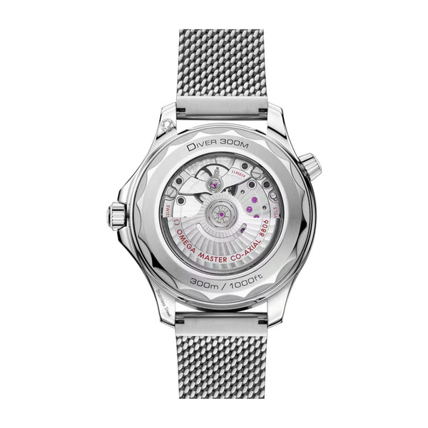 Omega Seamaster Diver 300M