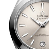 Omega Seamaster Aqua Terra 150M Steel