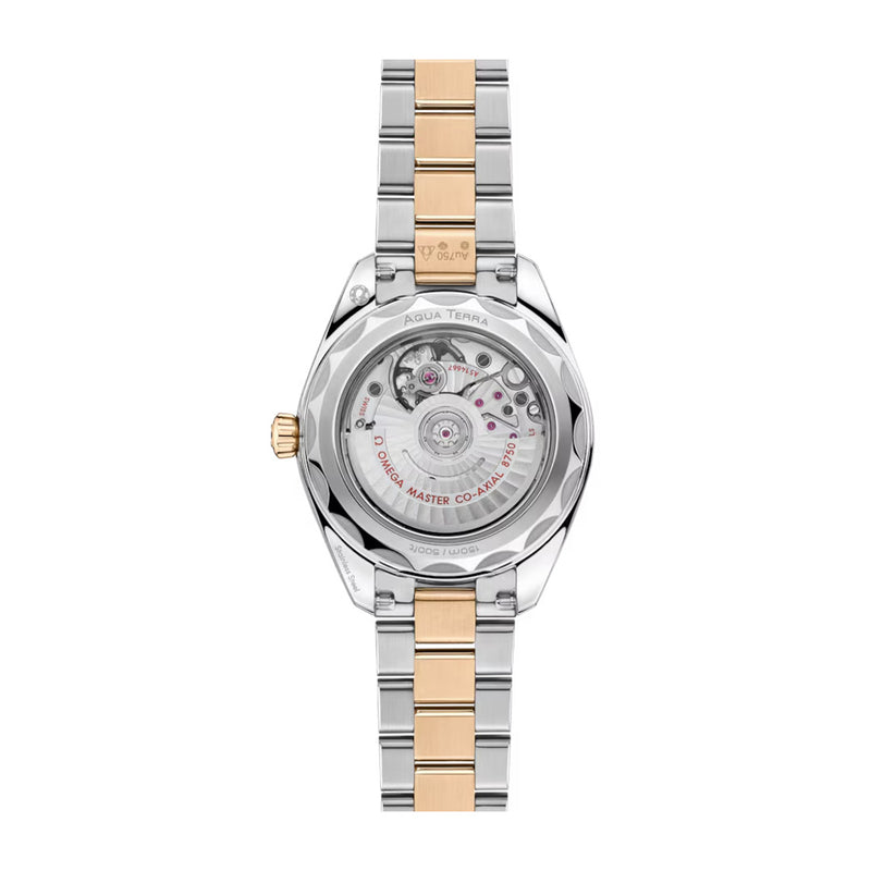 Omega Seamaster Aqua Terra 150M Steel and Moonshine™ Gold