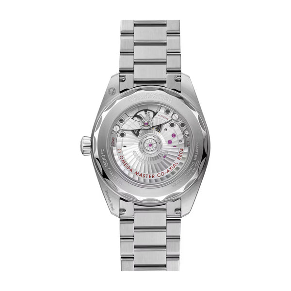 Omega Seamaster Railmaster Steel