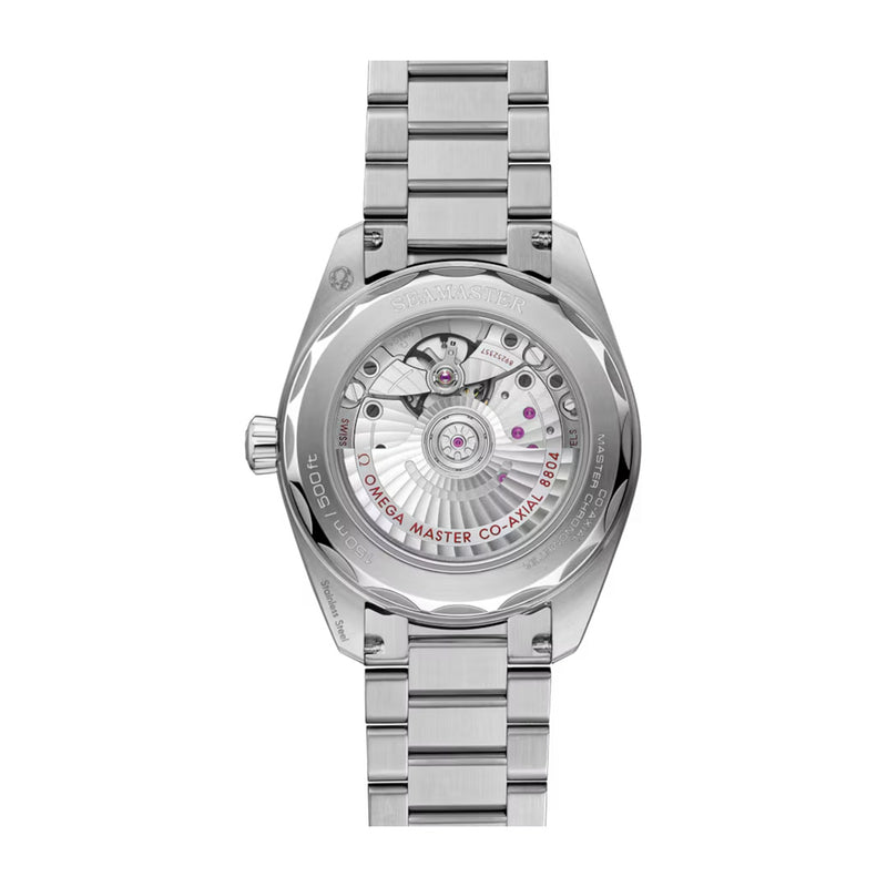 Omega Seamaster Railmaster Steel