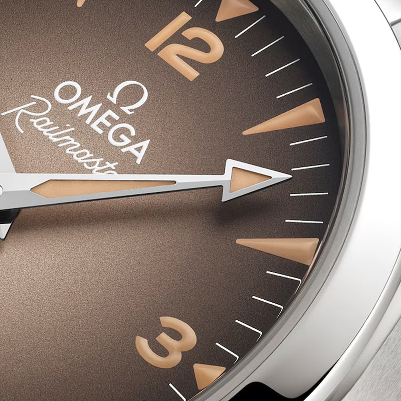 Omega Seamaster Railmaster Steel