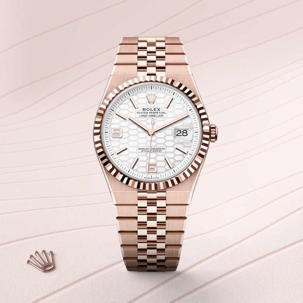 Rolex Land-Dweller 40 in Everose gold, M127335-0001 - Mallory Jewellers