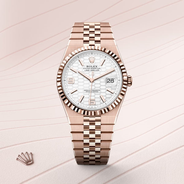 Rolex Land-Dweller 40 in Everose gold, M127335-0001 - Mallory Jewellers