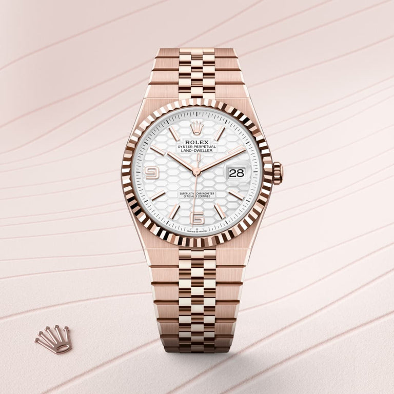 Rolex Land-Dweller 40 in Everose gold, M127335-0001 - Mallory Jewellers