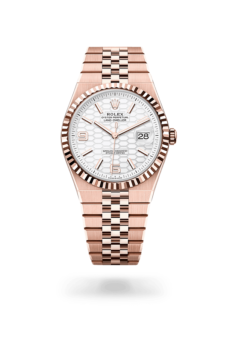 Rolex Land-Dweller 40 in Everose gold, M127335-0001 - Mallory Jewellers