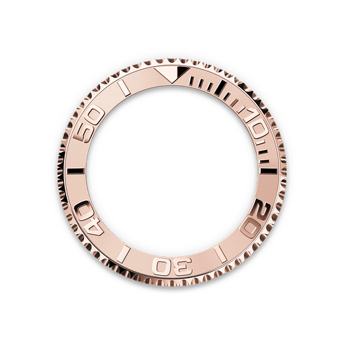 Bidirectional Rotatable Bezel