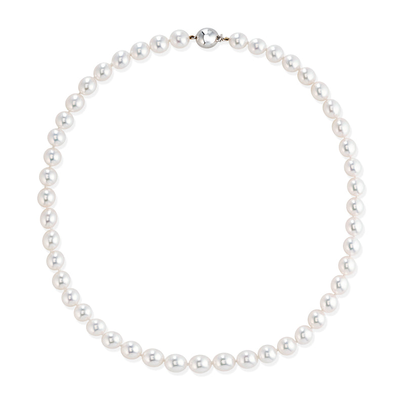 18ct White Gold Akoya Cultured Pearl Single Strand Necklace