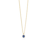 18ct White and Yellow Gold Twelve Claw Set Oval Cut Sapphire and Round Brilliant Cut Diamond Cluster Pendant and Chain