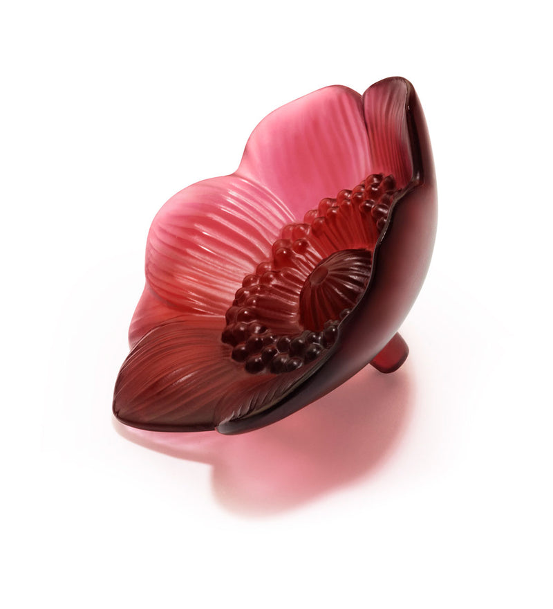 Lalique Anemone Red Crystal Small Sculpture
