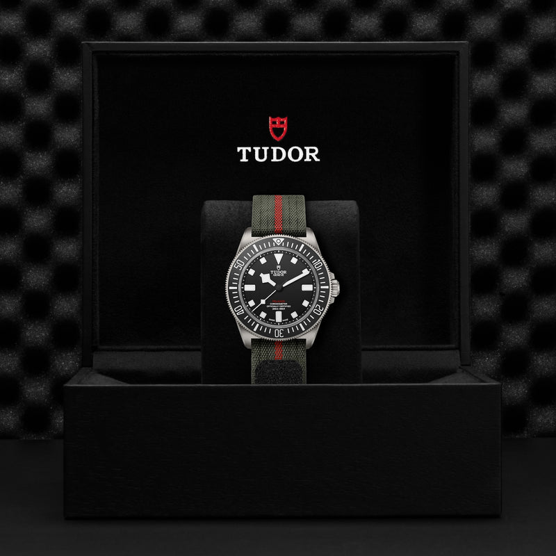 Tudor Pelagos FXD 42mm Titanium