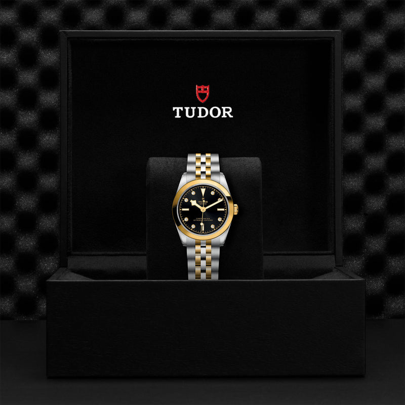 Tudor Black Bay 31 S&G 18ct Yellow Gold and Steel