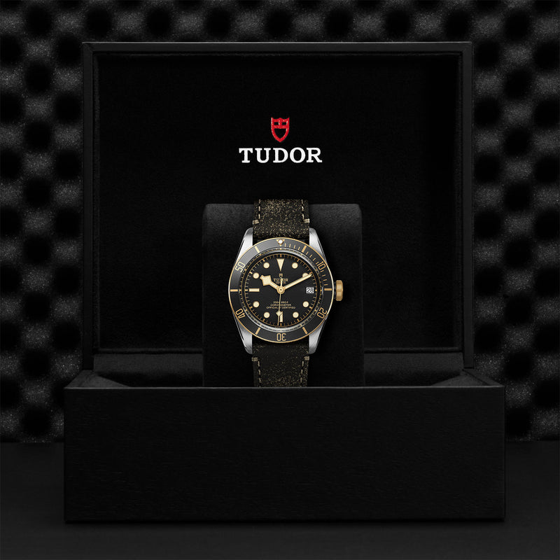 Tudor Black Bay S&G 18ct Yellow Gold and Steel